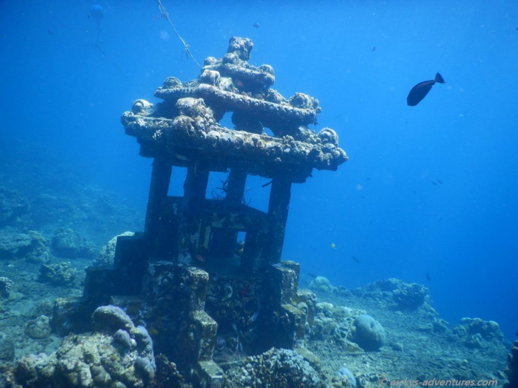 Unterwasserwelt in der Jemeluk Bucht: Unterwassertempel