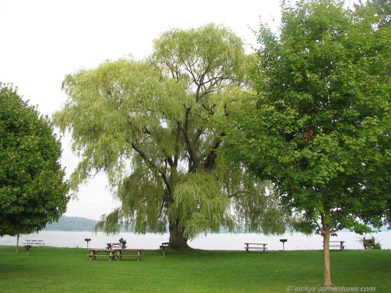 Cayuga Lake - Finger Lakes Cayuga Lake - Finger Lakes