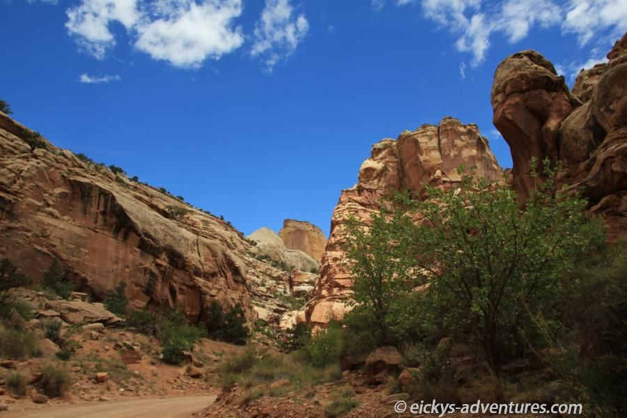 auf dem Weg zum Golden Throne - Capitol Reef National Park auf dem Weg zum Golden Throne - Capitol Reef National Park