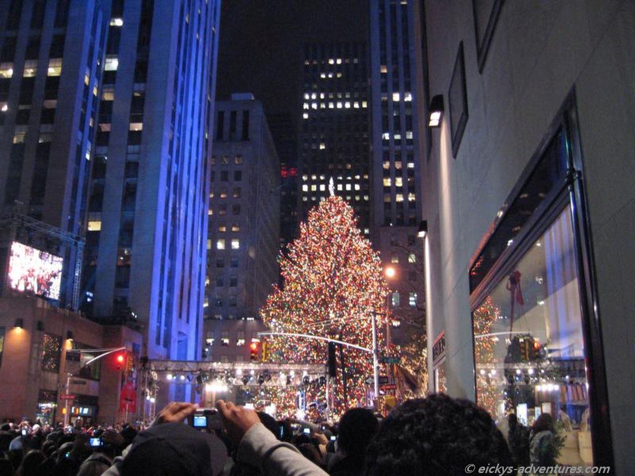 Tree Lightening Tree Lightening