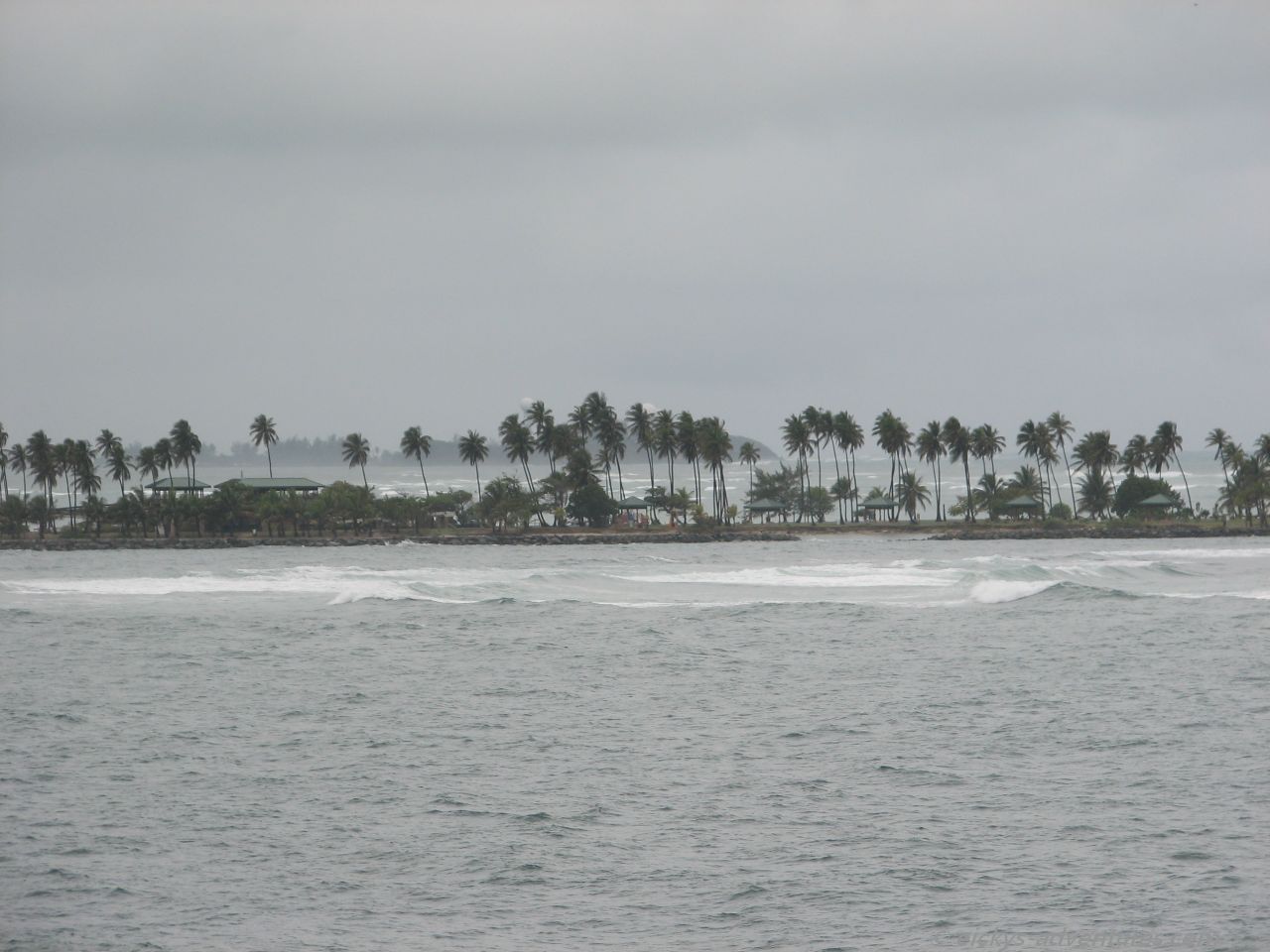 Palmen im Wind Palmen im Wind