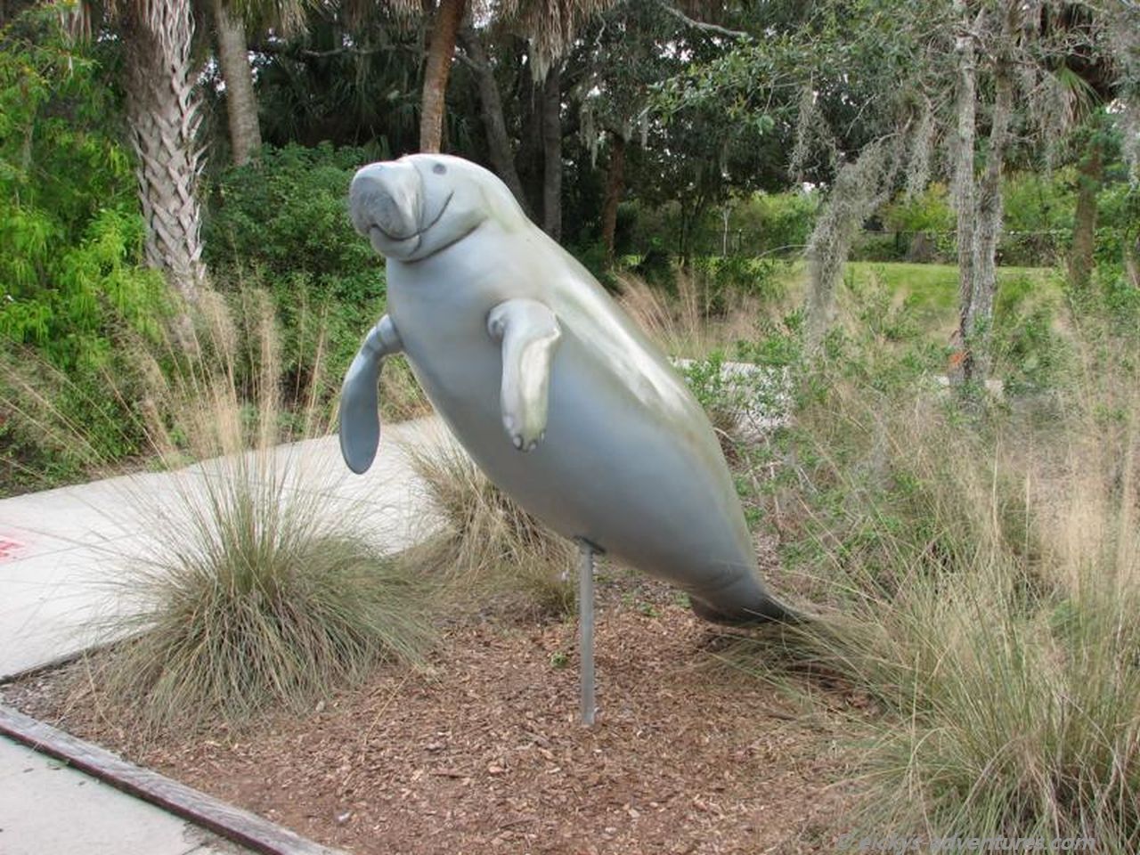 Manatee Park Manatee Park