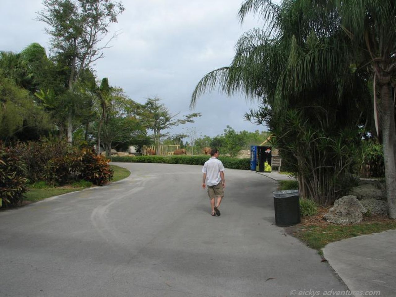 großzügige Wege im Miami Zoo großzügige Wege im Miami Zoo