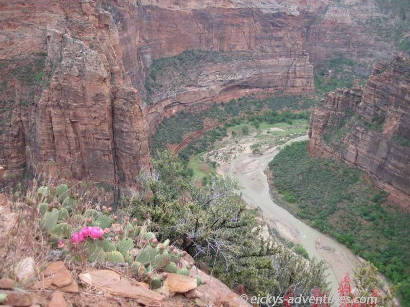 halbes Hufeisen halbes Hufeisen