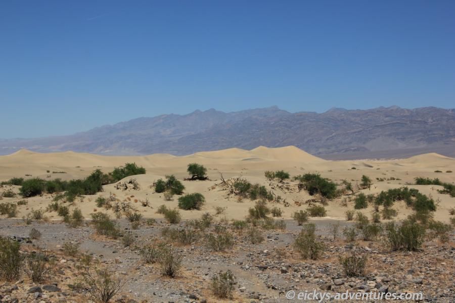 Sanddünen im Death Valley Sanddünen im Death Valley