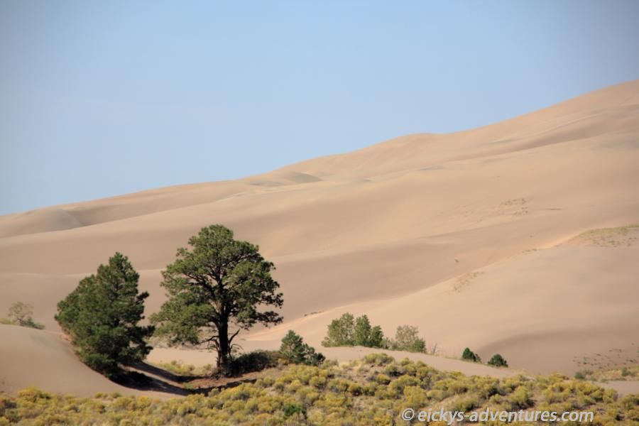 Great Sand Dunes National Park Great Sand Dunes National Park