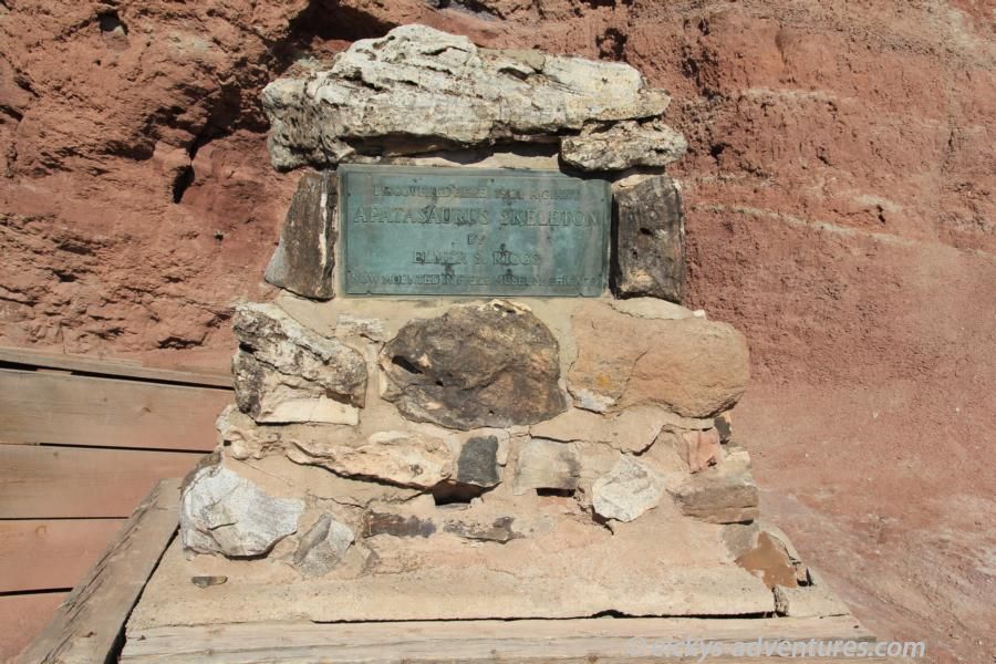 Dinosaur Hill Trail Dinosaur Hill Trail