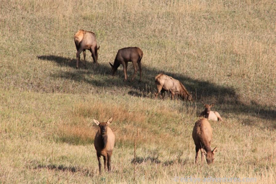 Lookout Mountain Road Lookout Mountain Road