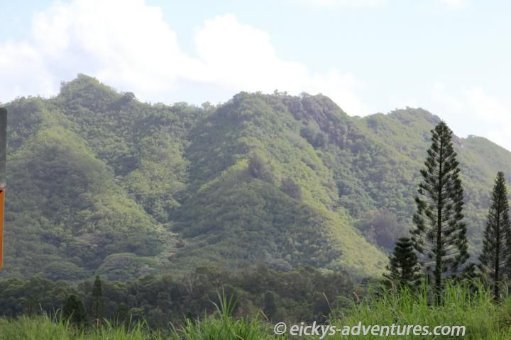 2. Pali Lookout und Start für den Maunawili Trail 2. Pali Lookout und Start für den Maunawili Trail
