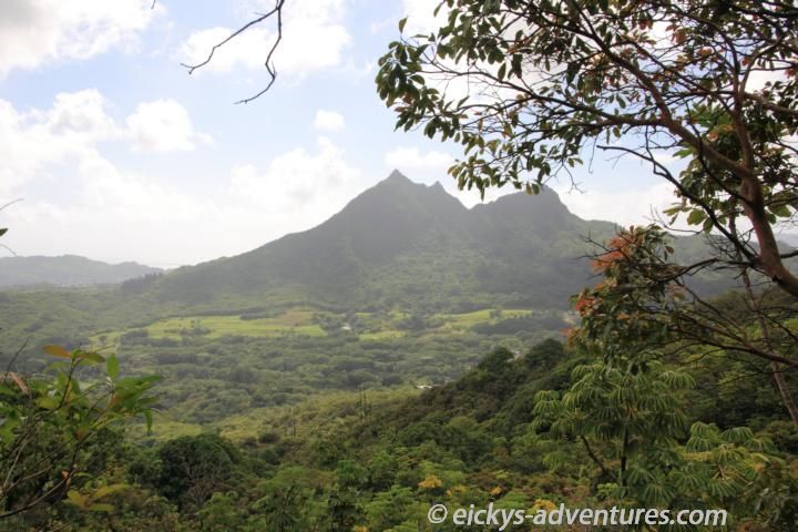 Olomana Peaks  - Maunawili Trail Olomana Peaks - Maunawili Trail