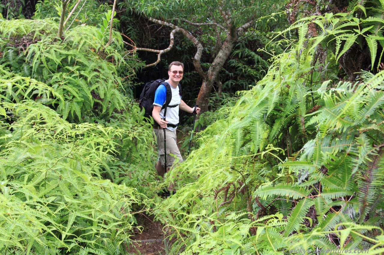 Maunawili Falls Connector Trail Maunawili Falls Connector Trail