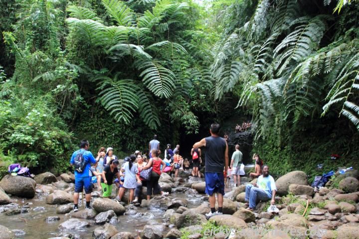 Maunawili Falls  Maunawili Falls