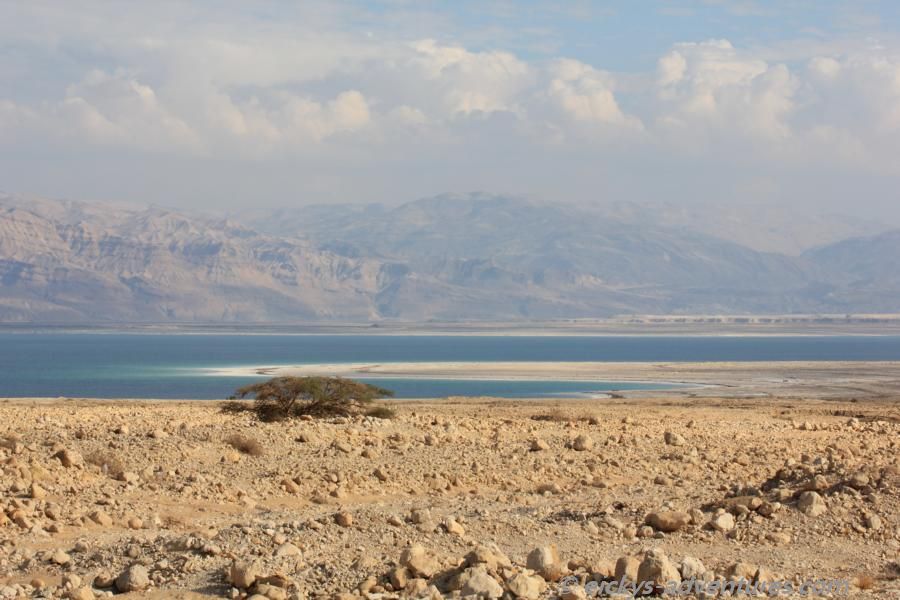 am Toten Meer am Toten Meer