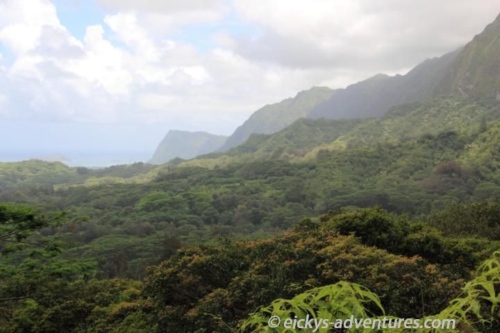 Maunawili Falls Connector Trail Maunawili Falls Connector Trail