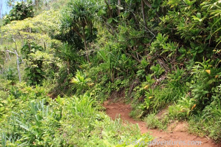 Kalalau Trail Kalalau Trail