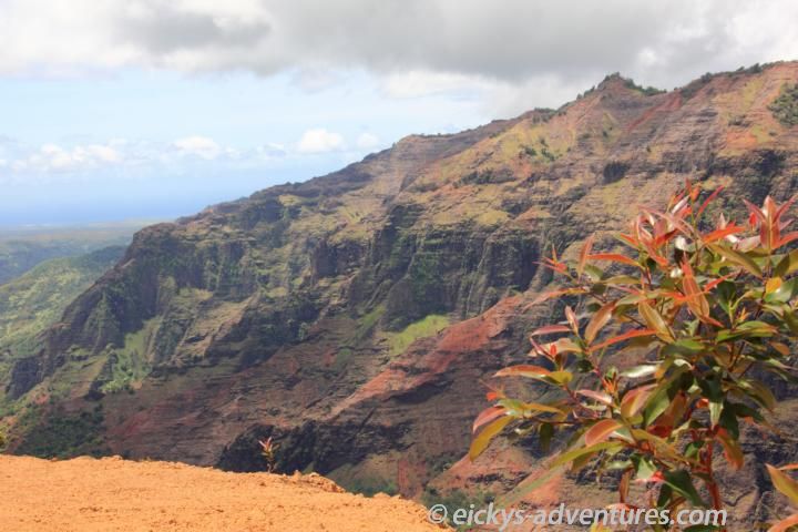 Canyon Trail - Waimea Canyon Canyon Trail - Waimea Canyon