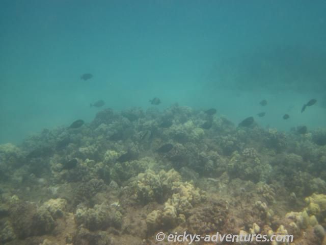 Kahe Point Beach Park Kahe Point Beach Park