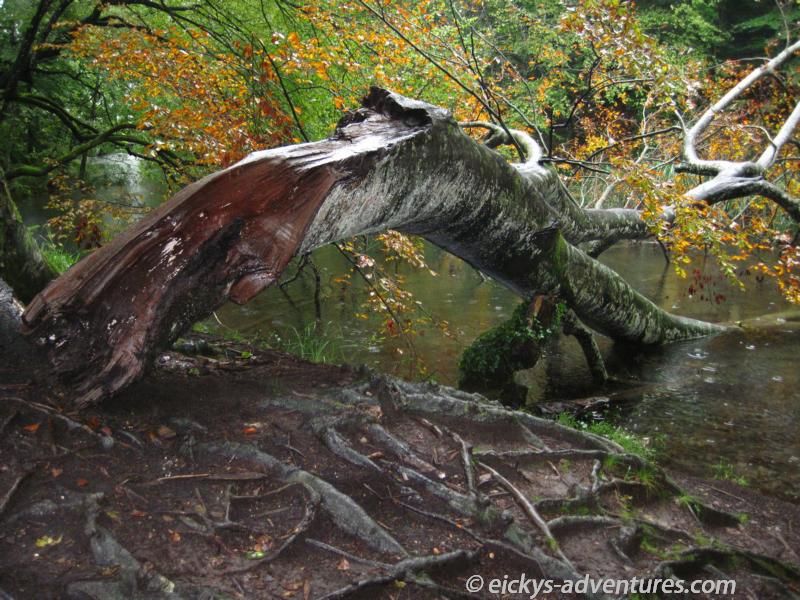 Nationalpark Plitvicer Seen Nationalpark Plitvicer Seen