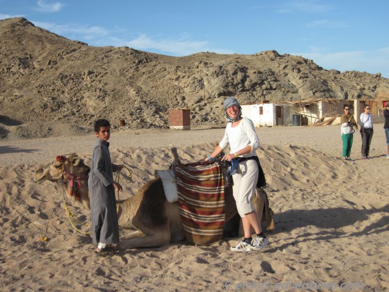 Kamelreiten Kamelreiten