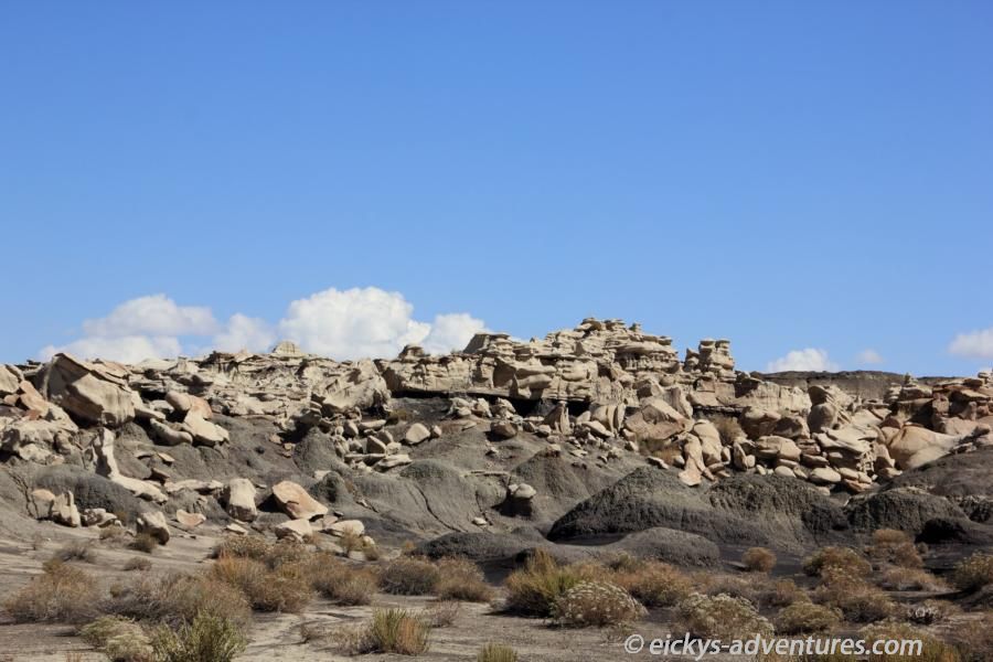 Bisti Wilderness Area Bisti Wilderness Area