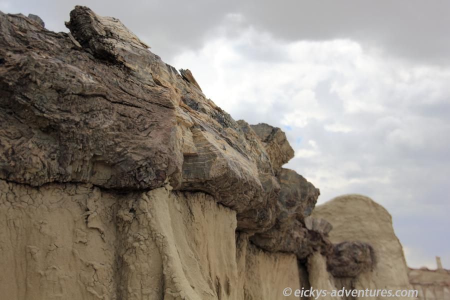 Bisti Wilderness Area: versteinertes Holz Bisti Wilderness Area: versteinertes Holz