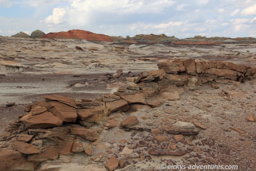 Bisti Wilderness Area Bisti Wilderness Area