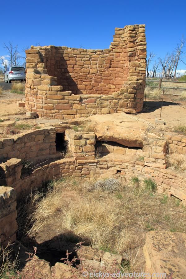Cedar Tree Tower - Cliff Palace Loop - Mesa Verde Cedar Tree Tower - Cliff Palace Loop - Mesa Verde