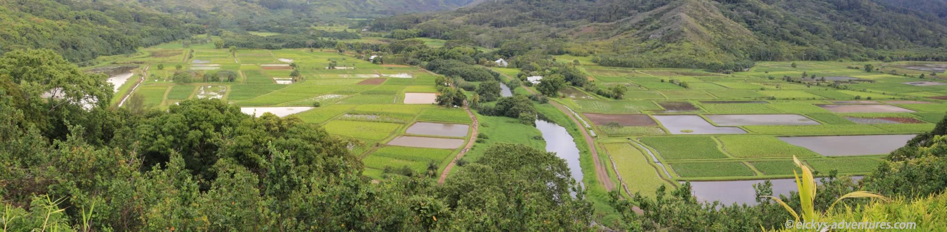 Hanalei Scenic Lookout Hanalei Scenic Lookout