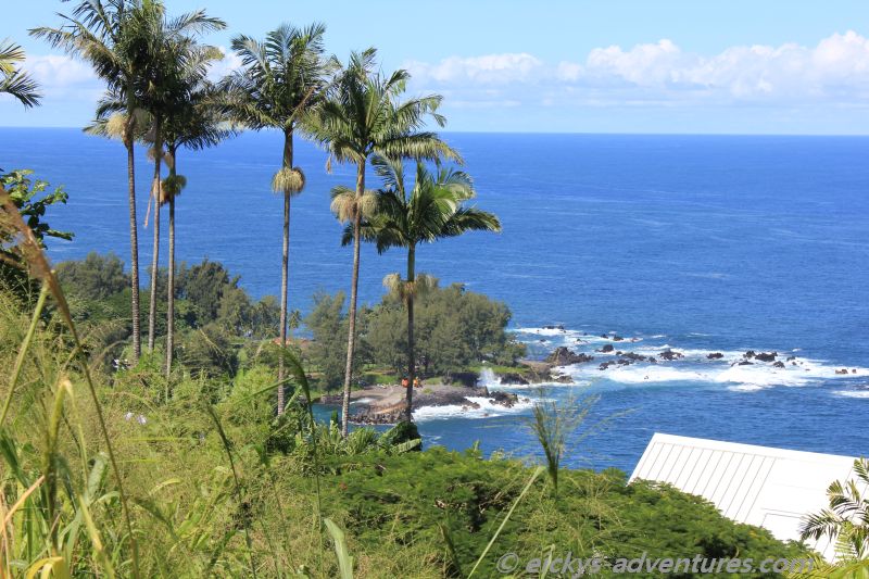 Laupahoehoe „Lavanase“ mit Tsunami Denkmal Laupahoehoe „Lavanase“ mit Tsunami Denkmal