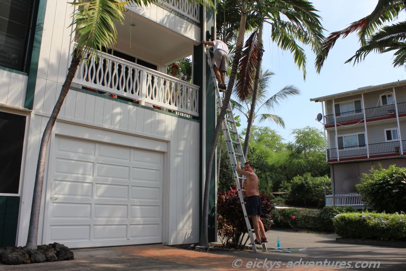 Frank bei der Arbeit Frank bei der Arbeit