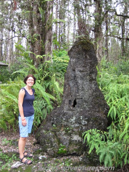 Lava Tree State Park Lava Tree State Park