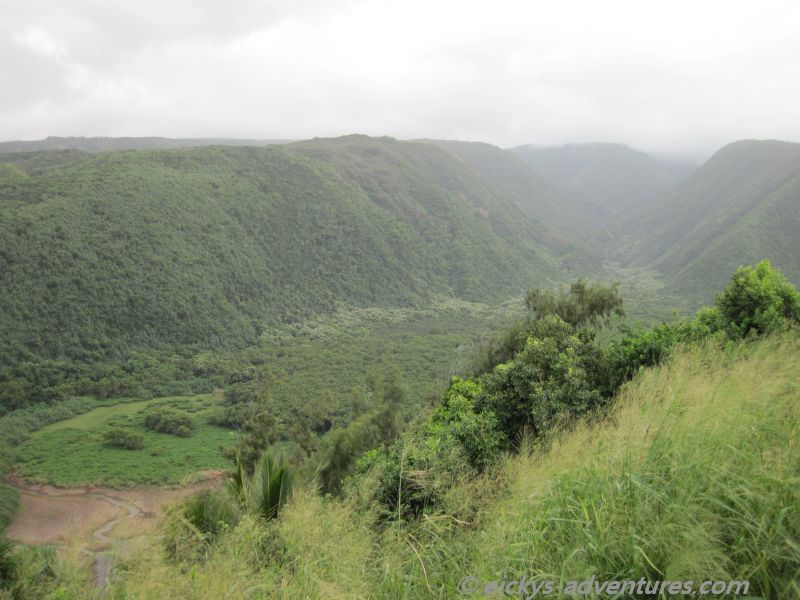 Pololu Overlook Pololu Overlook