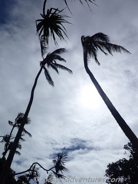 James Kealoha Beach Park James Kealoha Beach Park