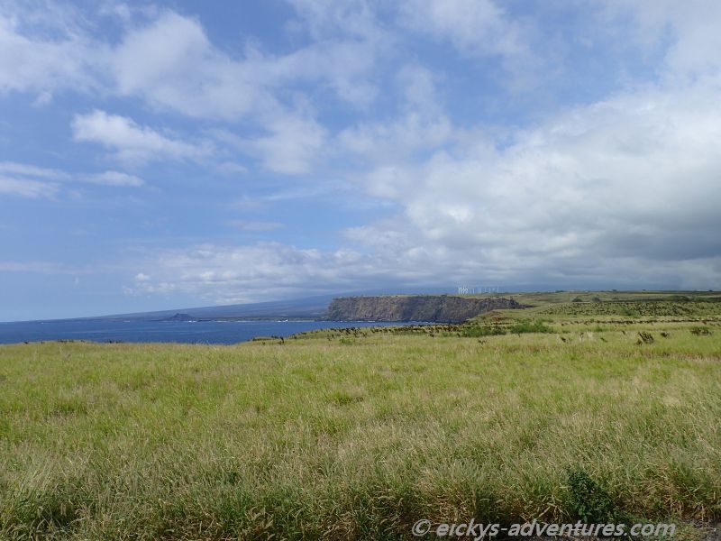 South Point South Point