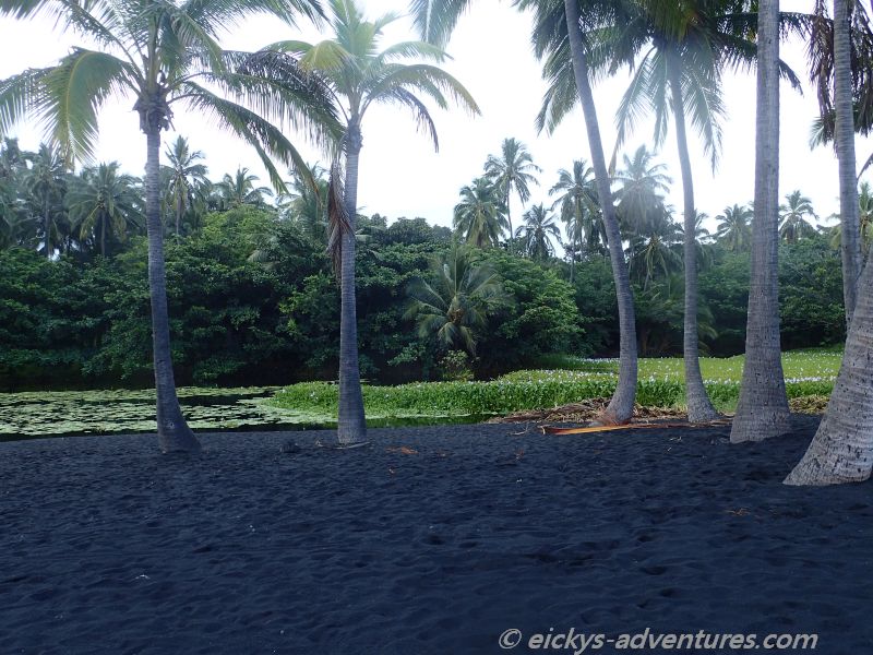 Punaluu Black Sand Beach Punaluu Black Sand Beach
