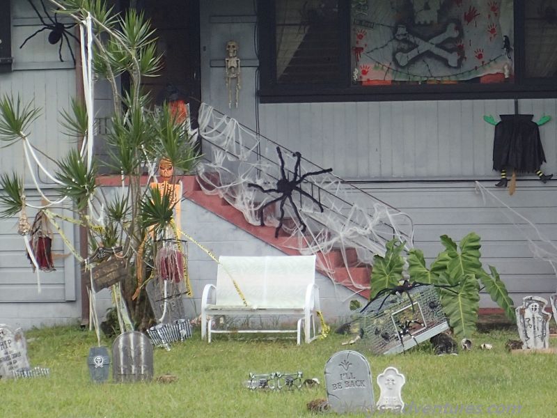 Pahoa: Deko für Halloween Pahoa: Deko für Halloween