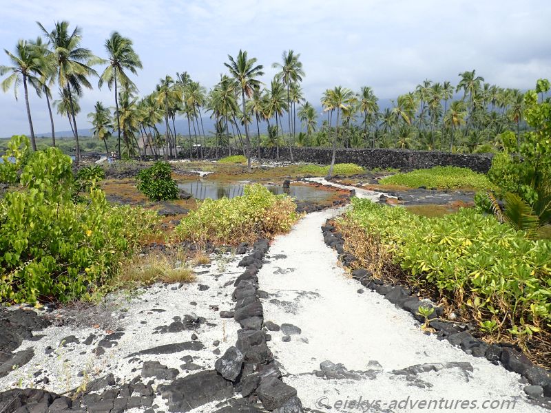 National Historical Park Pu‘uhonua o Honaunau (City of Refuge) National Historical Park Pu‘uhonua o Honaunau (City of Refuge)
