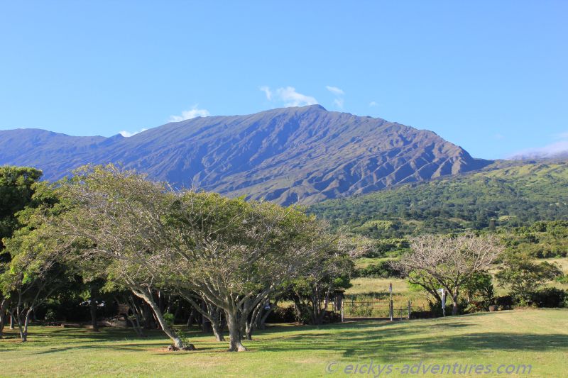 entlang des Piilani Hwy entlang des Piilani Hwy