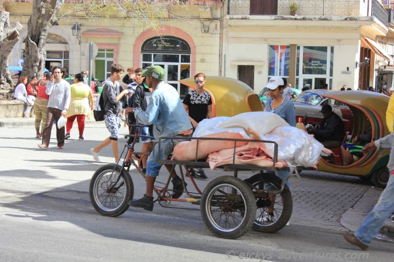 Schweinetransporter Schweinetransporter