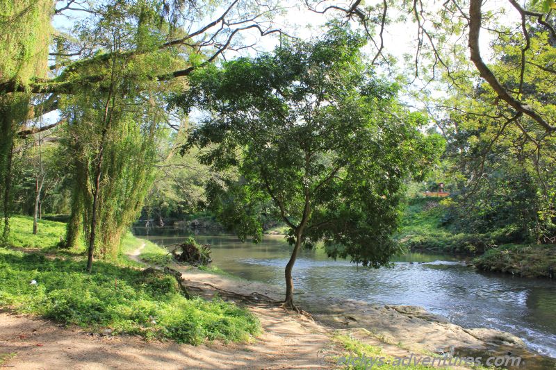 irgendwo im Grünen irgendwo im Grünen