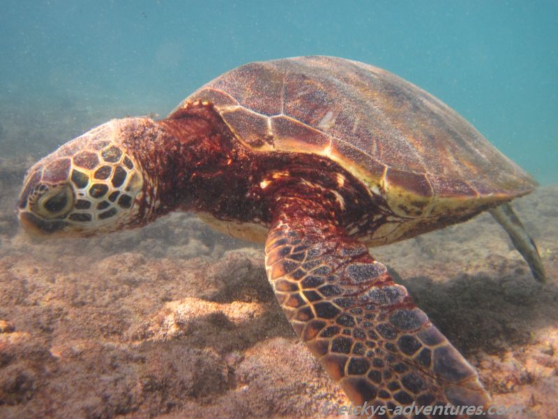 Kahekeli Beach Park Kahekeli Beach Park