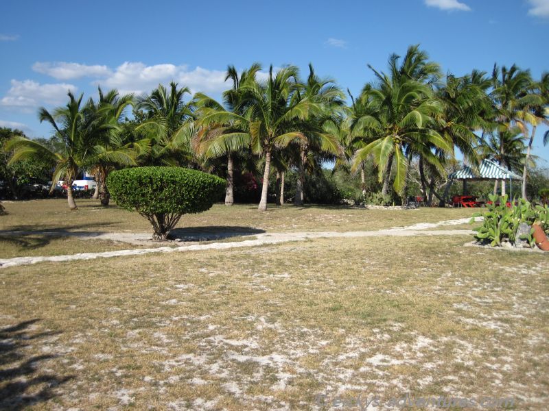 Caleta Buena Caleta Buena