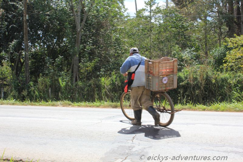 Was er wohl verkauft? Was er wohl verkauft?
