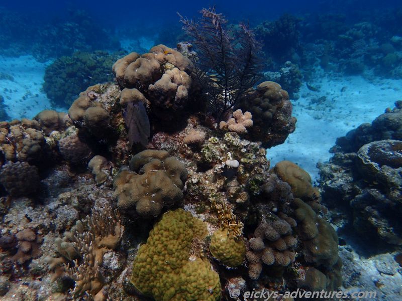 Tauchgang an der Cueva de los Pecos Tauchgang an der Cueva de los Pecos