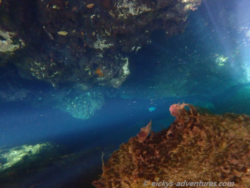 schnorcheln in der Cueva de los Pecos schnorcheln in der Cueva de los Pecos