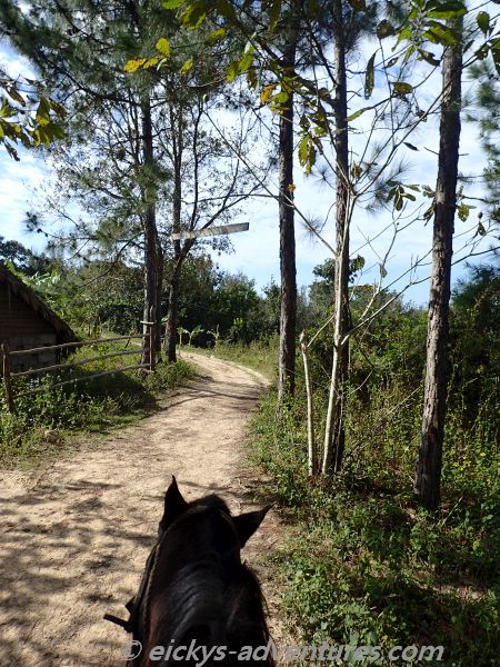auf dem Rücken der Pferde auf dem Rücken der Pferde