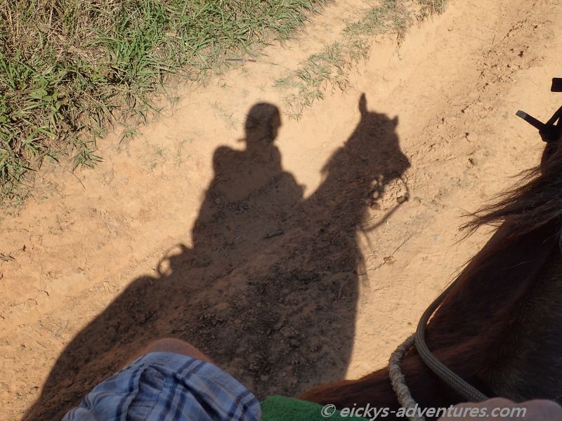 auf dem Rücken der Pferde auf dem Rücken der Pferde