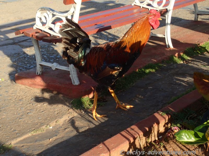 Impressionen aus Vinales Impressionen aus Vinales
