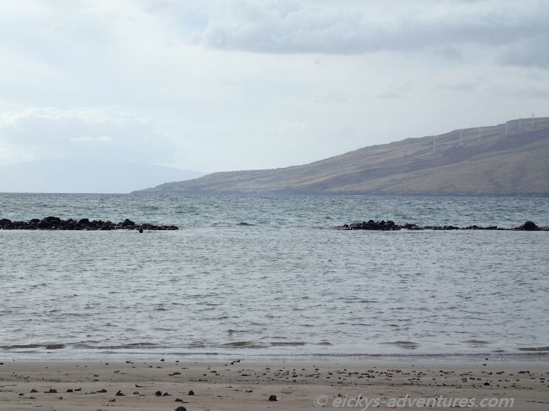 Kalepolepo Park Kalepolepo Park