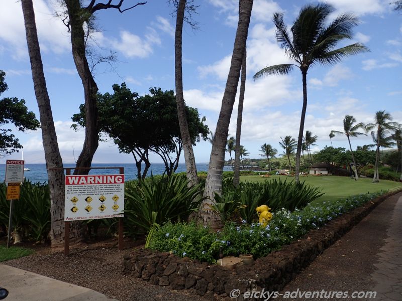 Turtle Town Turtle Town